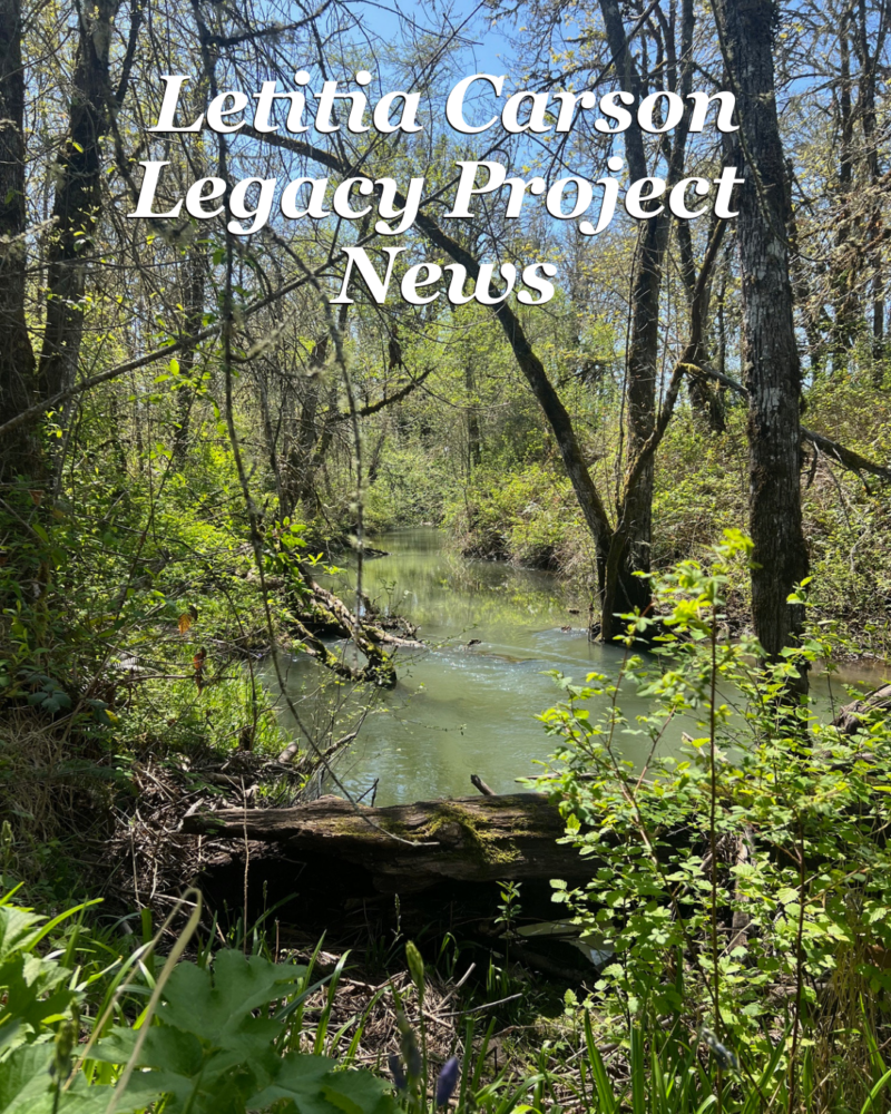 Letitia Carson Legacy Project News #1
