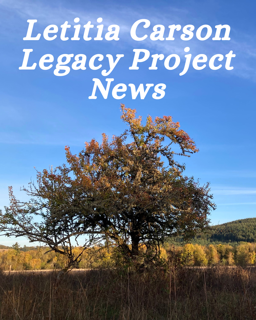 Letitia Carson Legacy Project News #3